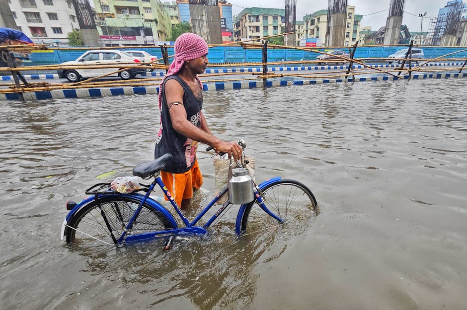 Impact of transportation on climate