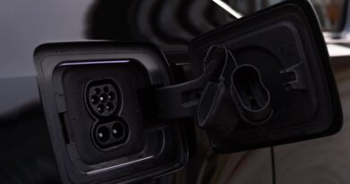Unraveling the Influence of Electric Vehicles on Power Grid Dynamics